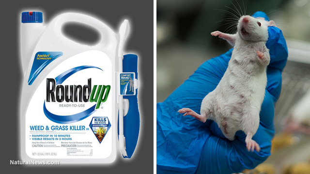 Image: Bayer to cut 12,000 jobs worldwide as company faces 10,000 lawsuits over Monsantos Roundup (glyphosate) herbicide causing cancer