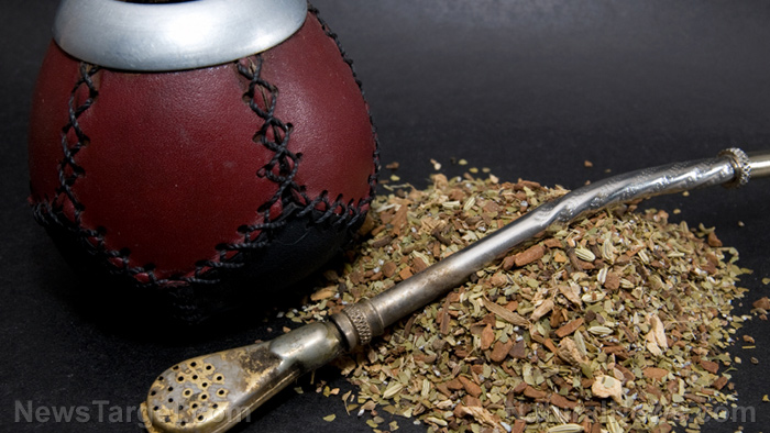 Image: Long-term consumption of yerba mate found to strengthen your digestive system