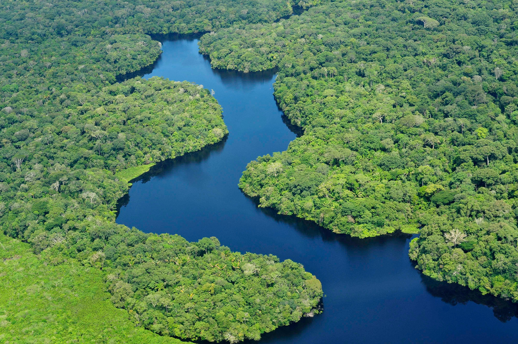 Image: Researchers find that the shape of tropical forests determine their stability; to prevent collapse of these ecosystems we must not alter the contours