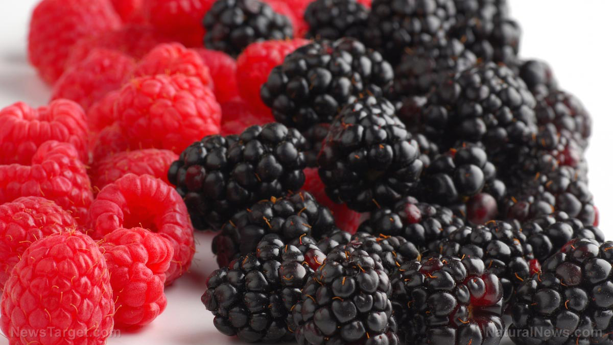 Image: Black raspberries can reduce your risk of developing oral cancer