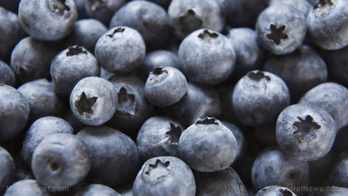 Image: Nutrition studies all agree: Blueberries are good for your gut