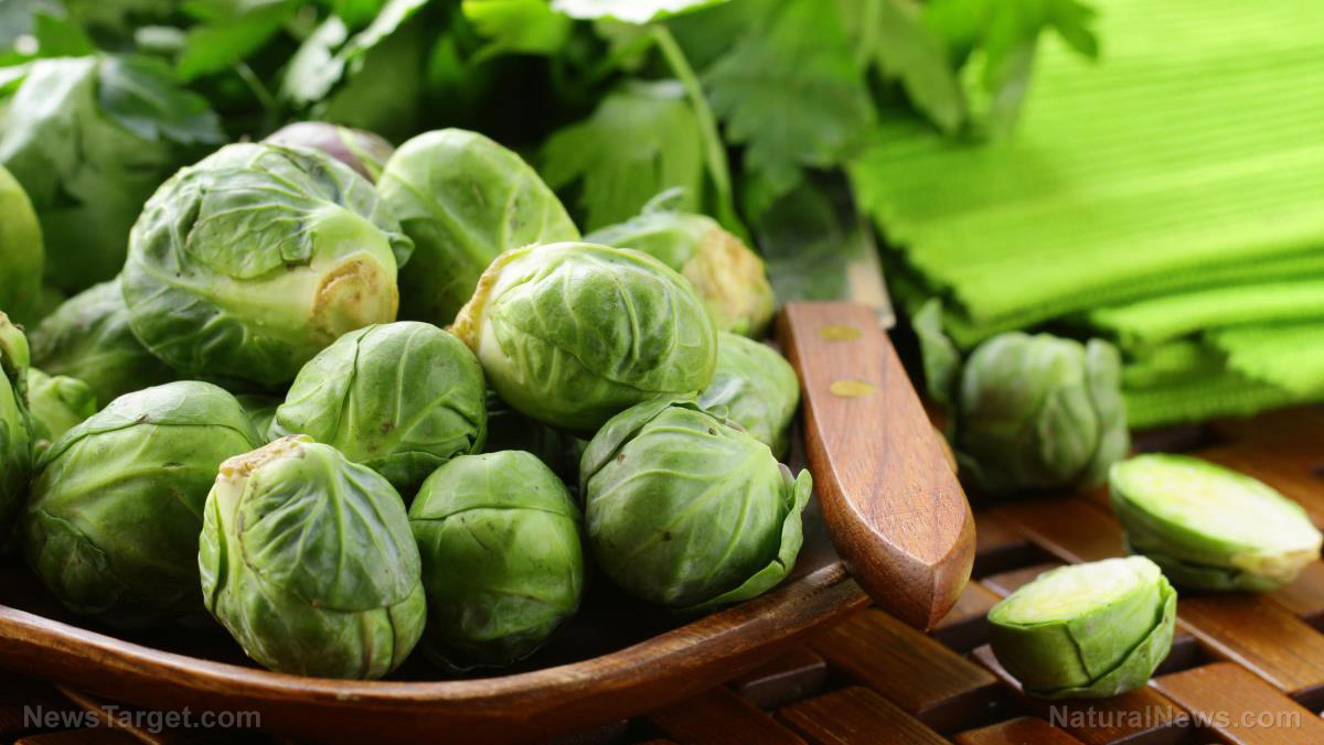 Image: Early stages of schizophrenia can be treated with nutrients found in Brussels sprouts, shellfish, and oranges
