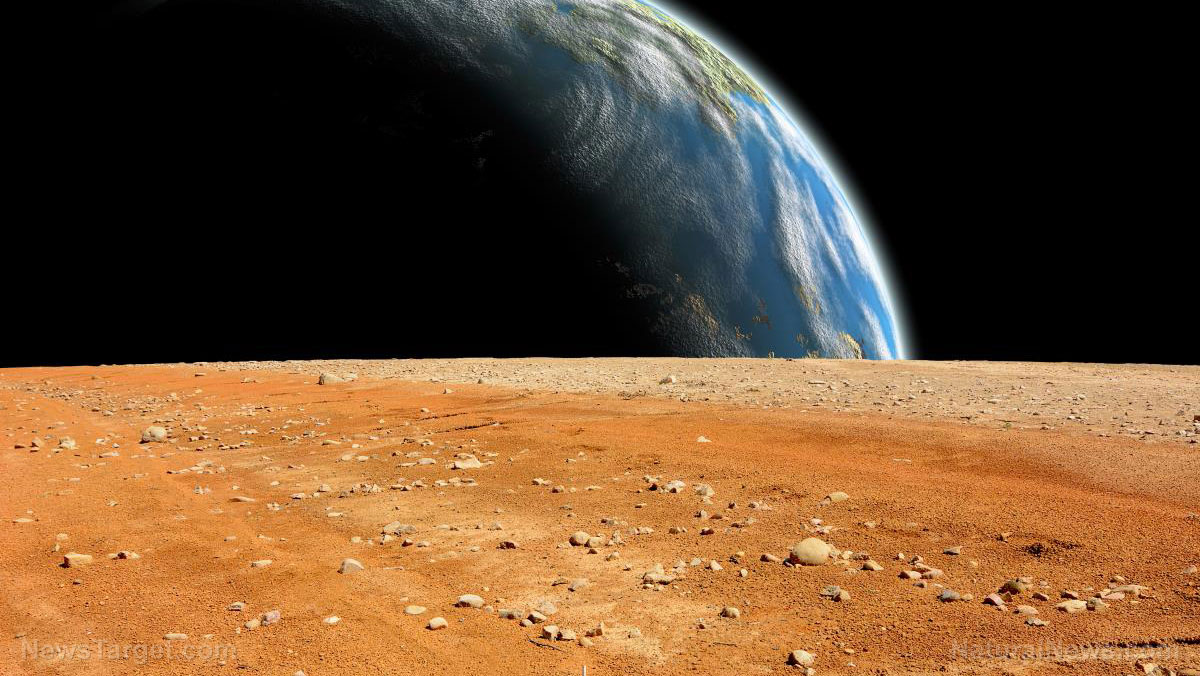 Image: Elon Musk: Mars must be colonized as a potential escape route in case of WW3