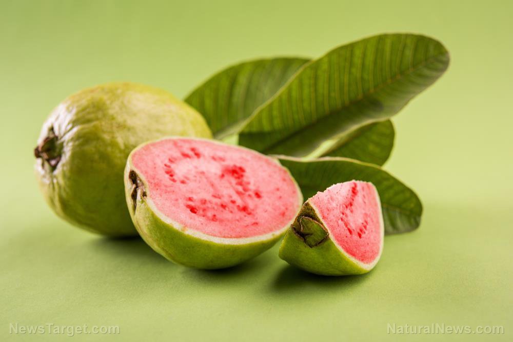 Image: Compounds found in guava observed to display potent anticancer activity