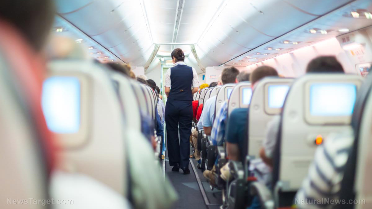 Image: Contaminated air in commercial aircraft is poisoning passengers and crew