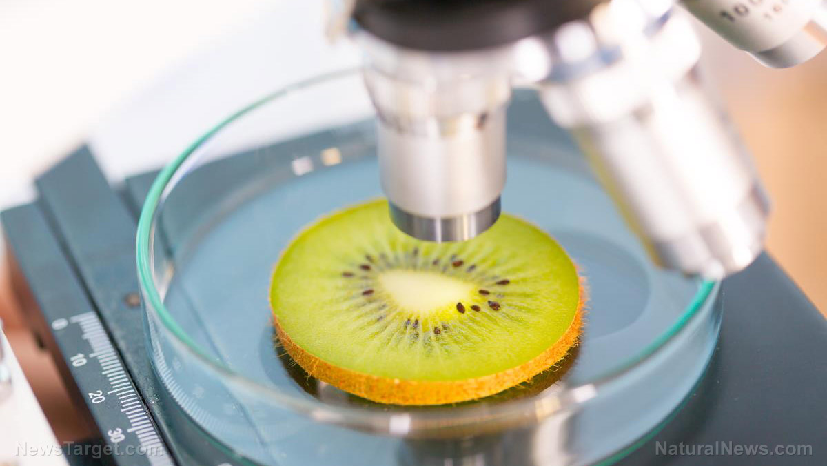 Image: The amazing nutritional properties of kiwifruit