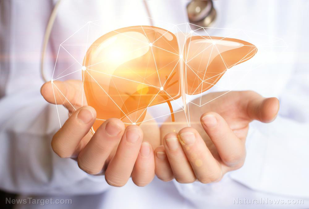 Image: Did you know your liver actually grows by 50% during the day when it’s processing biological toxins?
