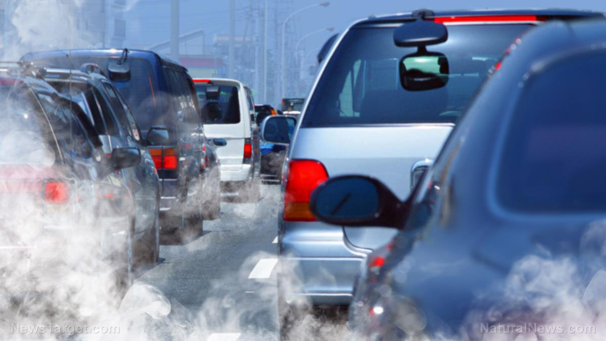 Image: Air pollution found to damage your health on a CELLULAR level