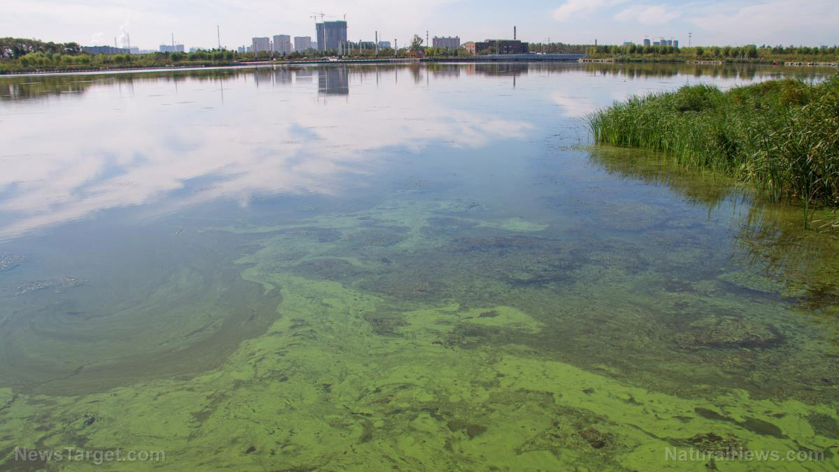 Image: Now Detroit is dealing with toxic chemicals in the drinking water