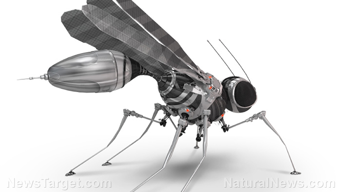 Image: First wireless insect-size robot takes flight