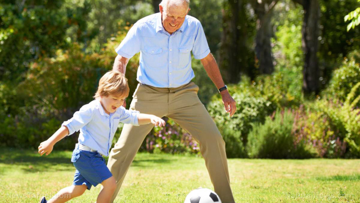Image: Exercise to avoid frailty in old age: Research finds leg muscles lose nerve connections UNLESS kept healthy and strong