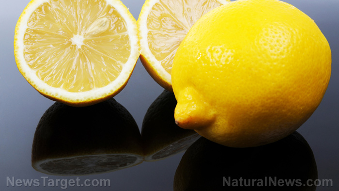 Image: Compounds in lemon found to effectively fight cancer without harmful side effects