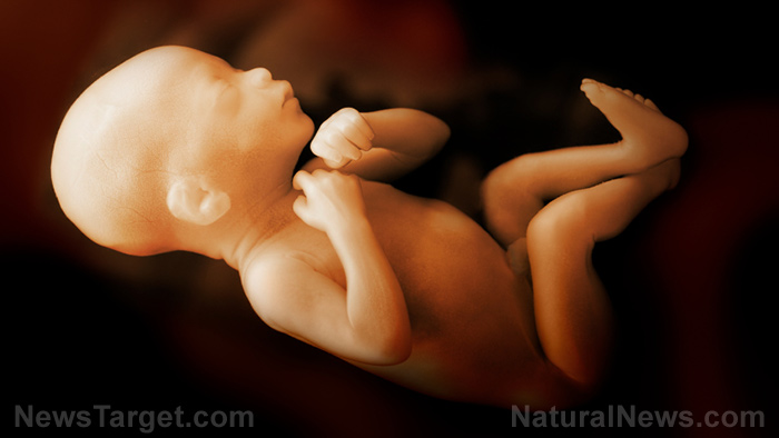 Image: Creepy or cute? Russian company can print a 3D model of your unborn child based on ultrasound photos