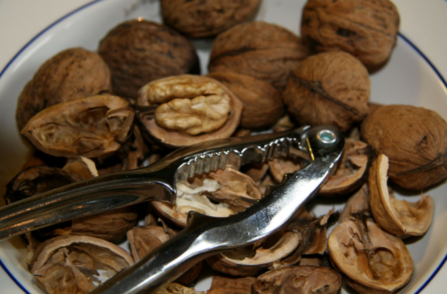 Image: Eating walnuts found to protect the colon from cancerous tumors
