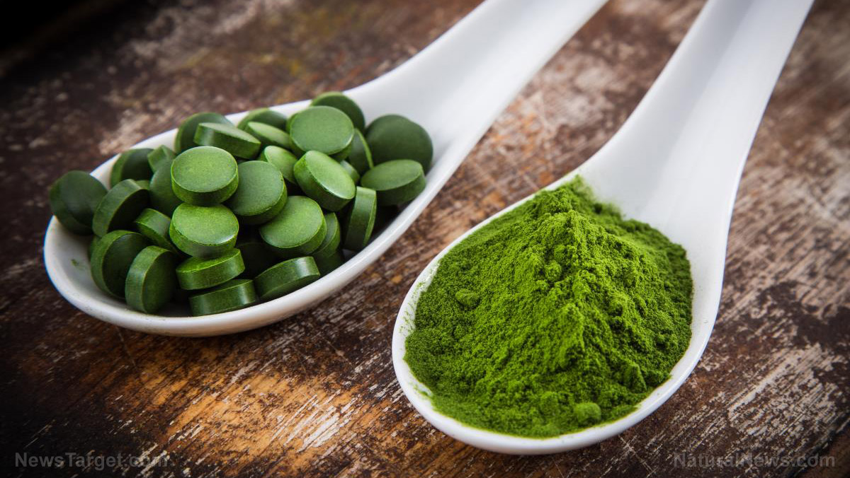 Image: Supplementing with chlorella can hasten recovery from intense training and exercise