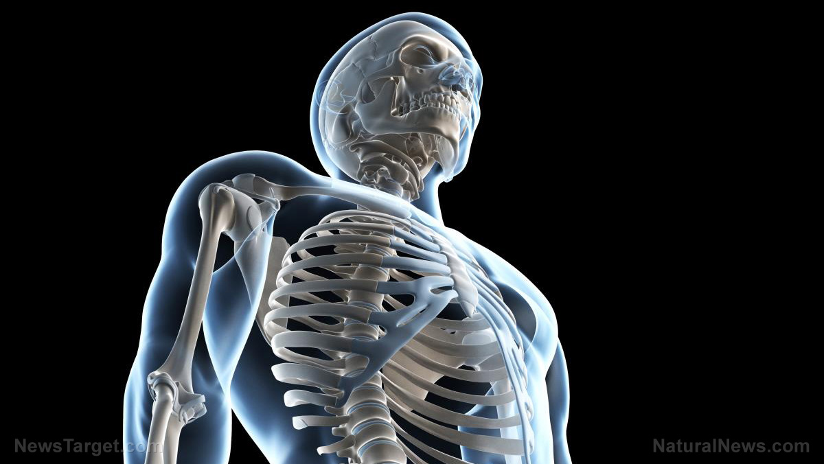 Image: Hungry to your bones? Scientists discover a hormone produced by our bones plays a key role in appetite and metabolism