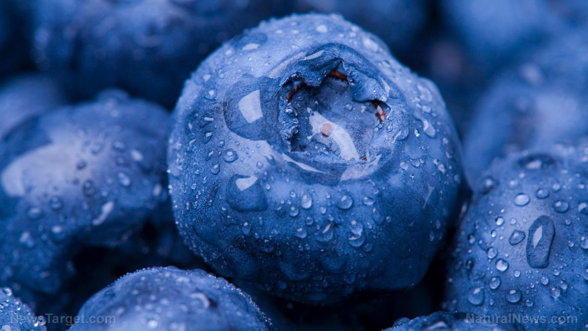 Image: Don’t judge a berry by the color of its skin: Conventional production methods may result in firmer, bluer berries but organic methods retain the most nutrients