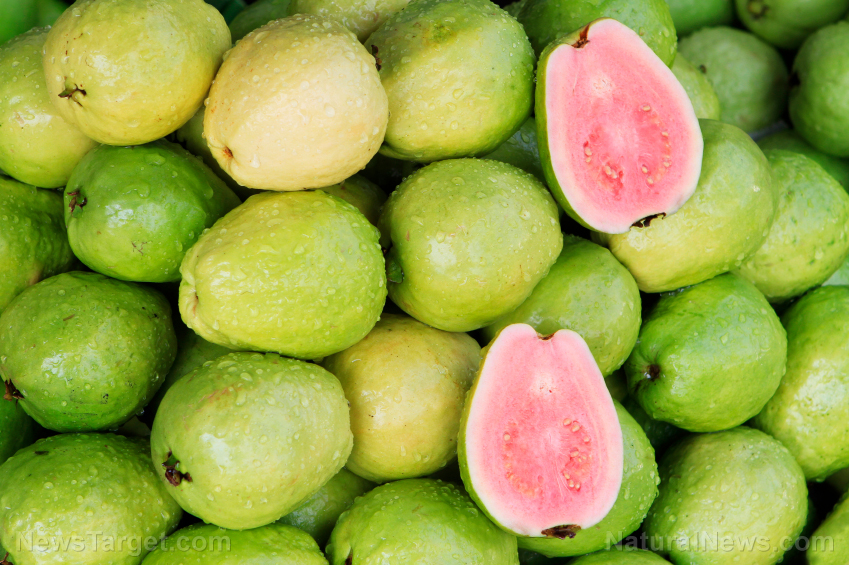 Image: Guava’s nutritional and medicinal health benefits confirmed in another study, thanks to its antioxidant content