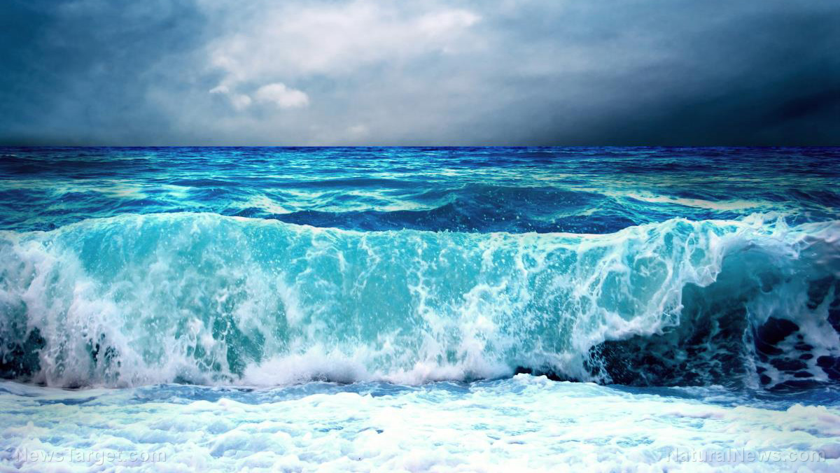 Image: Sea level data ALTERED by scientists to create false impression of rising oceans