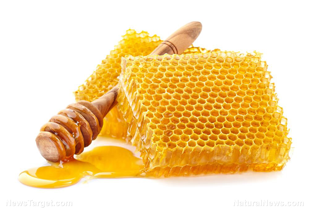 Image: Honey is medicine: 4 Scientifically proven perks to using Nature’s sweetener