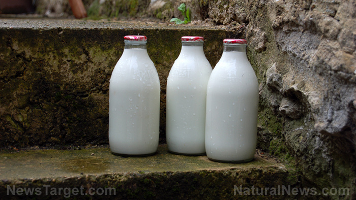 Image: Drinking raw, organic milk improves your health