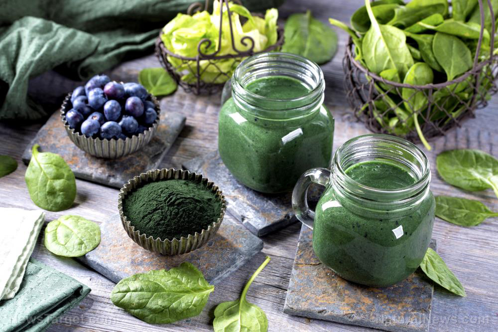 Image: Spirulina extract can prevent the increase of fat in the blood by inhibiting lipid metabolism and absorption