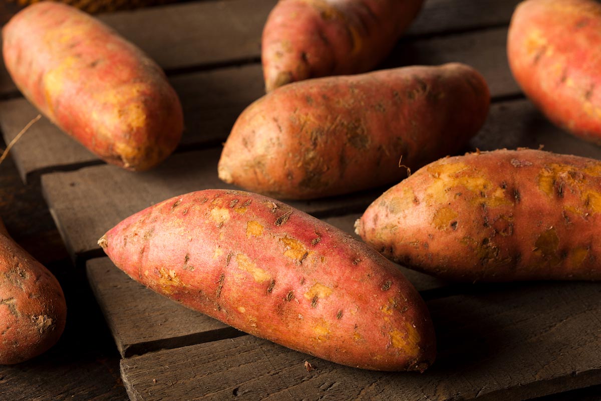 Image: The health benefits you receive when you eat more sweet potatoes