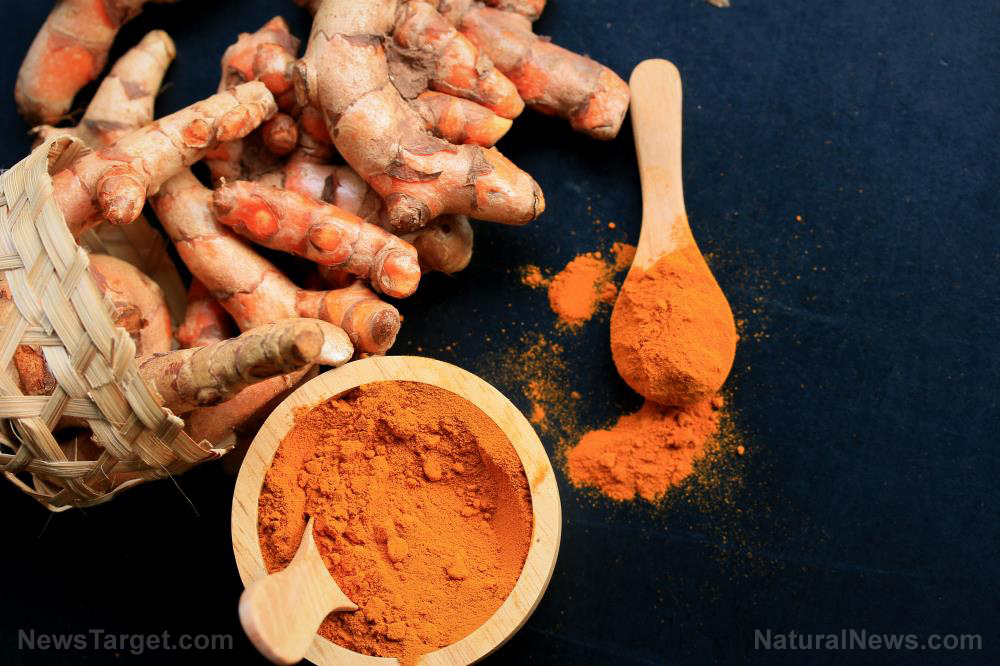 Image: Researchers are stunned at the tremendous anticancer potential of turmeric