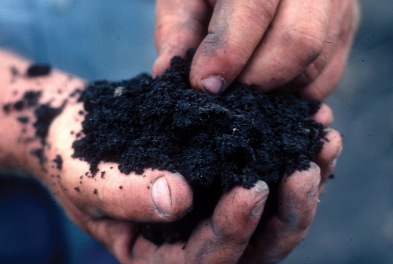 Image: Do soil nutrients impact nutrition? Study of how soil minerals affect nutrients