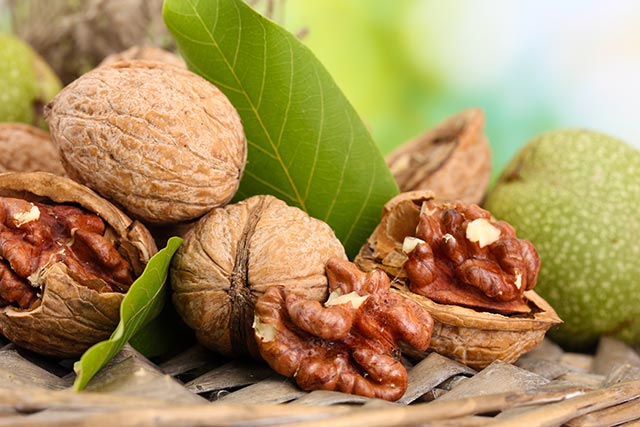 Image: New evidence shows that walnuts optimize the gut microbiome to suppress colon cancer cell growth