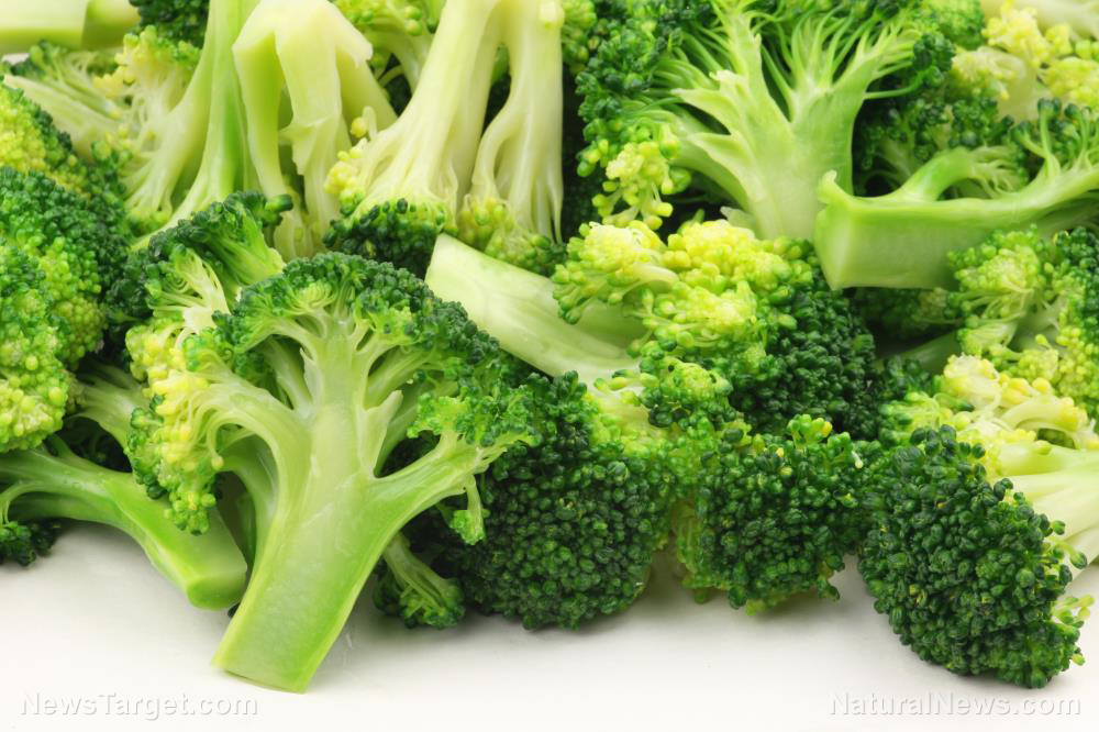 WOW! IMPORTANT INFO :: Is this cruciferous vegetable the key to brain regeneration? Broccoli-Boiled-Isolated-Market-Agriculture-Autumn-Backgrounds