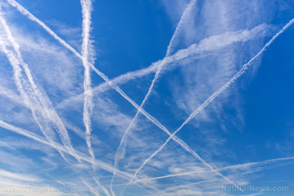 Image: Five ways to clear the body of chemtrail toxins
