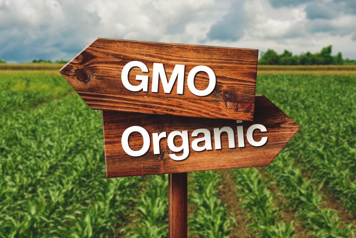 Image: Study: Organic food provides more health benefits than non-organic