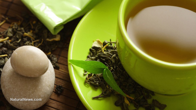 Image: Women with acute uncomplicated cystitis can benefit from green tea