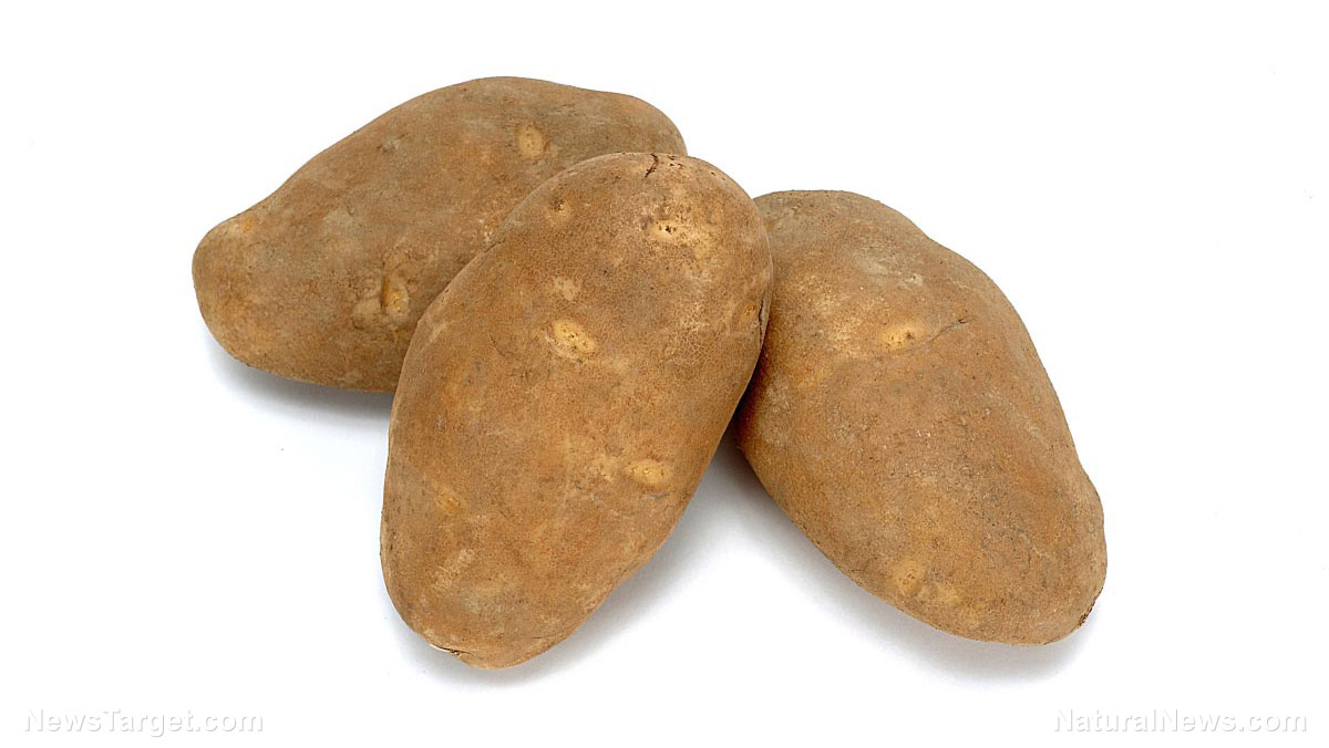 Image: GMO scientist admits to worrying about the negative side effects of GM potatoes