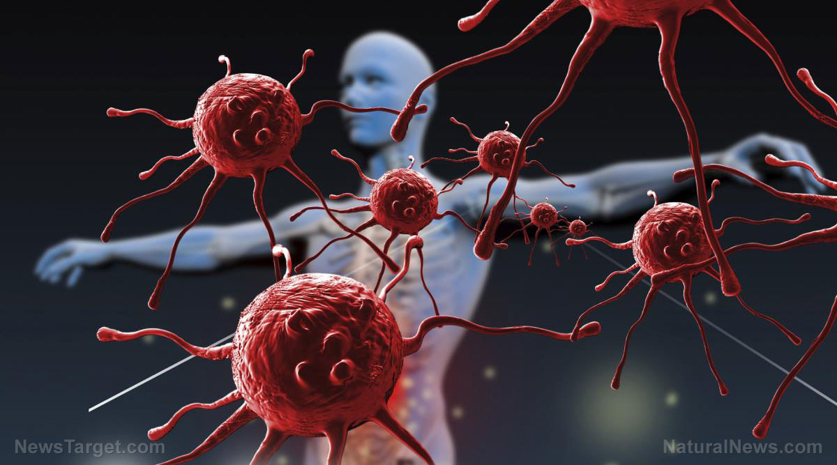 Image: Skip the risky vaccines: New study shows prebiotics fight rotovirus