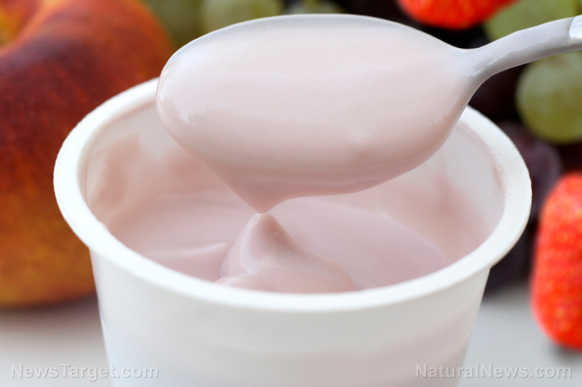 Image: Probiotics and yogurt exhibit potential anti-schistosomal, hepatoprotective properties