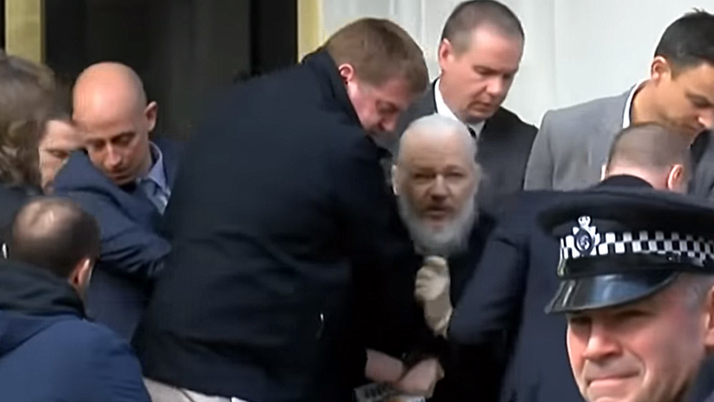 Image: Julian Assange: Political prisoner (article by Ron Paul)