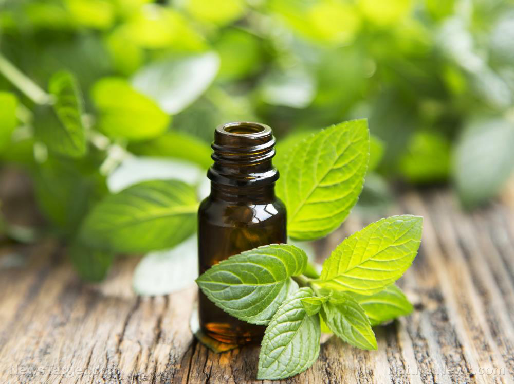 Image: Peppermint oil found to reduce symptoms of irritable bowel syndrome