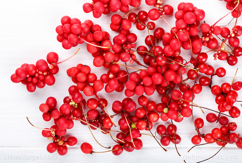 Image: Understanding the neuroactive effects of five-flavor berry