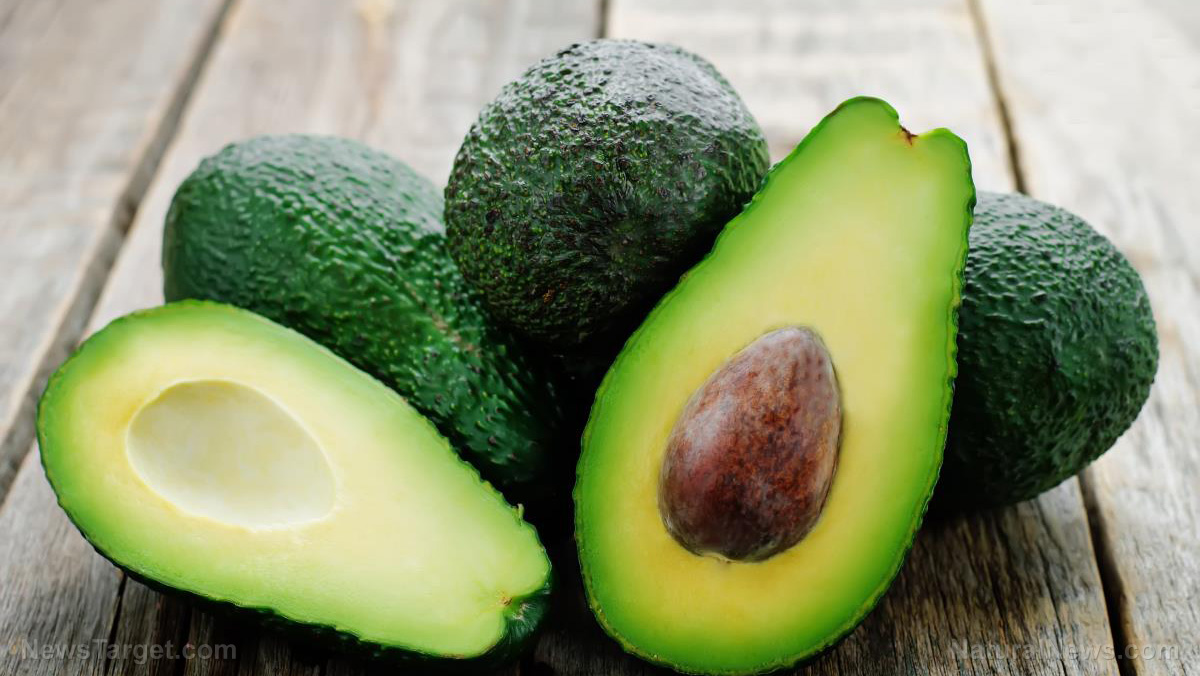 Image: GOOD FATS HEAL: After conventional medicine failed, five-year-old cured of epilepsy by eating hundreds of avocados
