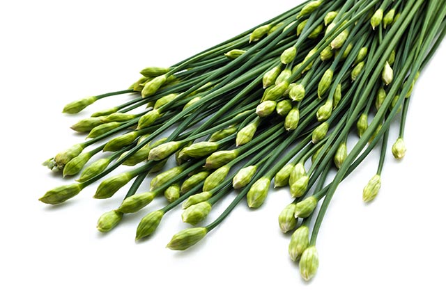 Image: Chronic renal failure can be alleviated using Chinese chives