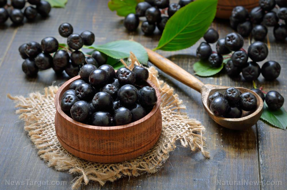 Image: Keep high blood pressure at bay by snacking on chokeberries