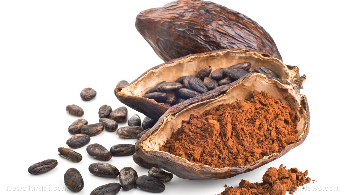 Image: Stressed-out cacao trees produce more nutritionally potent chocolate – new research