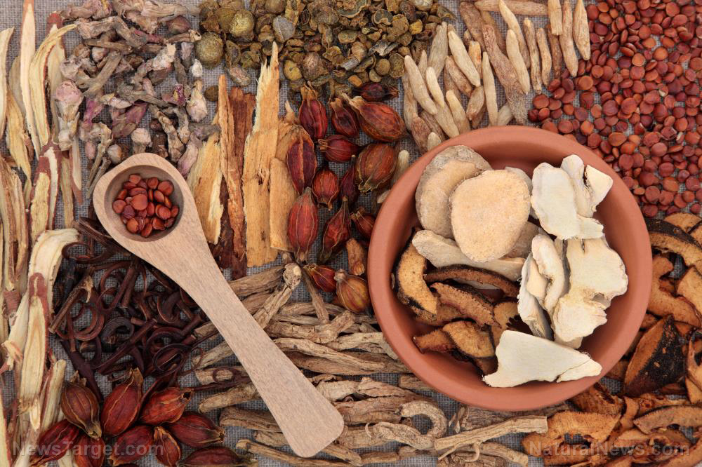 Image: Beautiful skin, naturally: A unique herbal mixture shows promise in treating inflammatory skin disorders