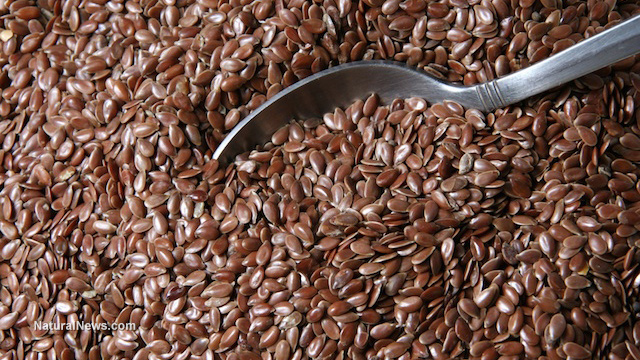 Image: Can flaxseeds improve your gut health and help you lose weight?