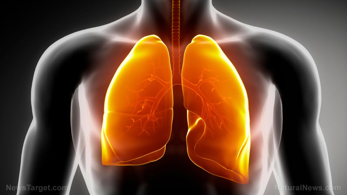 Image: Do you need to clean your lungs? Natural ways to improve your respiratory health