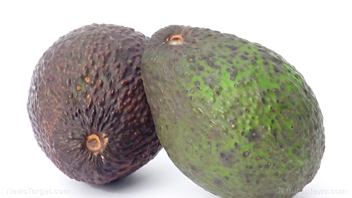 Image: Not just for guacamole: Man robs two banks using an avocado… and nearly gets away with it