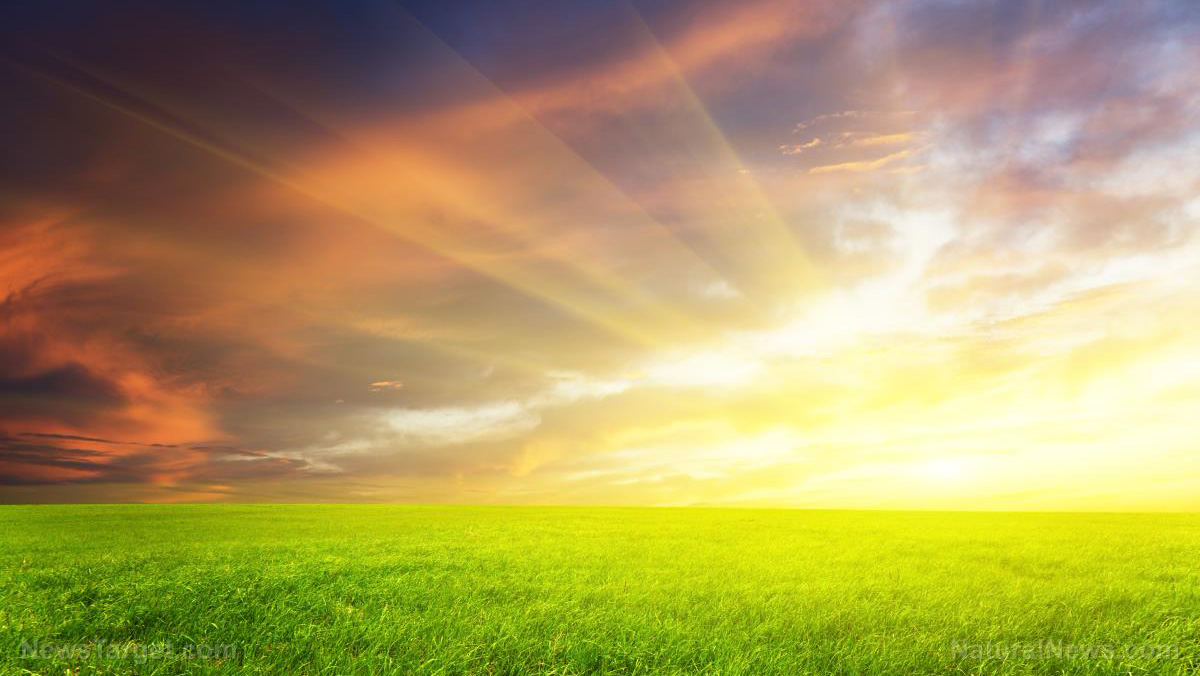 Agriculture-Beautiful-Blue-Clouds-Country-Countryside-Farm.jpg