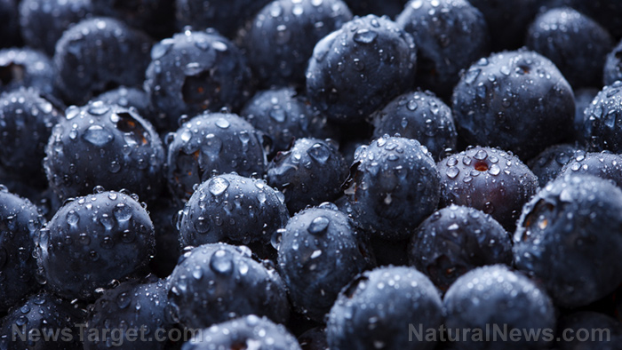 Image: Blueberries found to reduce CVD risk by up to 20 percent